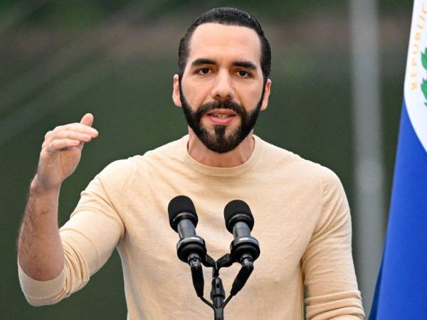 La Administración de Donald Trump en Estados Unidos se ha convertido en el principal escudo internacional del presidente Nayib Bukele.
