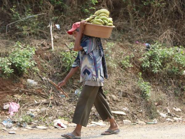 Según Lena Savelli,, antes de la sequía alrededor de 1.4 millones de personas estaban en situación de inseguridad alimentaria en Honduras, ahora con el impacto de este fenómeno, puede llegar hasta 1,9 millones.