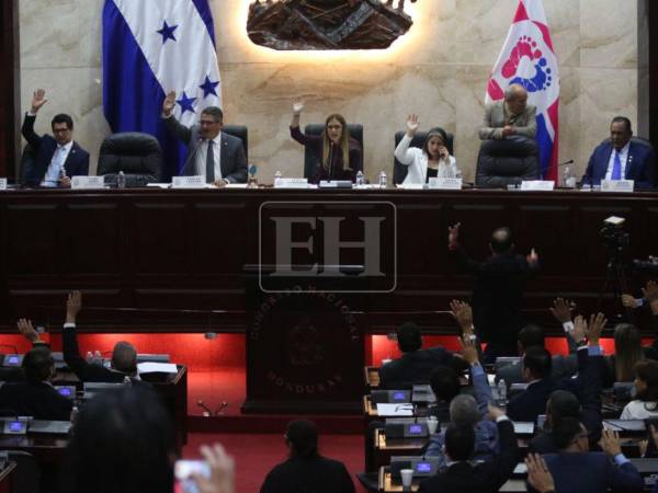 La propuesta fue aprobada por la mayoría de los parlamentarios.