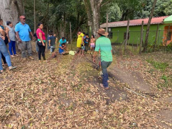 En los primeros 28 días del mes de enero de 2026, las autoridades de la Secretaría de Seguridad a través del Sistema Estadístico Policial en Línea (Sepol) contabilizan 154 personas asesinadas a nivel nacional.