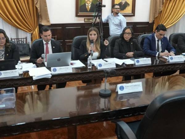 Los magistrados del TJE y un consejero enfrentan un proceso legislativo por presuntas faltas constitucionales y administrativas durante las elecciones pasadas.