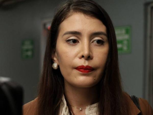 Elvir presentó una denuncia ante el MP el pasado 17 de junio contra el periodista Armando Villanueva por supuestos delitos contra el honor.