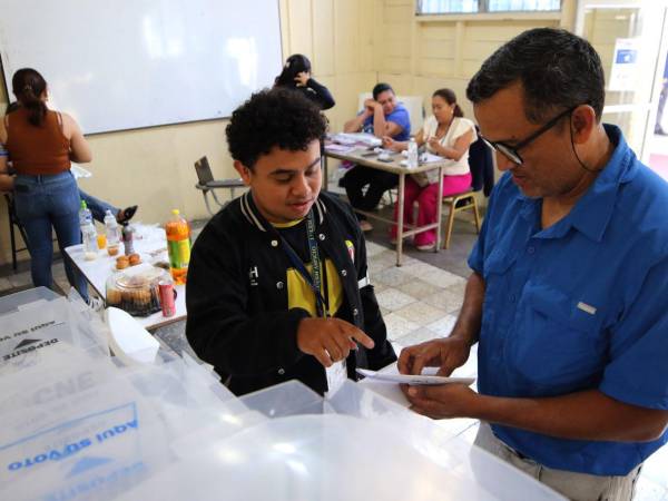 La sociedad civil está tratando de que la observación electoral nacional no vaya a quedar por fuera en las elecciones generales.