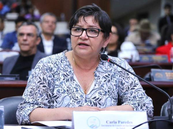 Carla Paredes es ministra de Salud desde noviembre del 2024 en lugar de José Manuel Matheu.