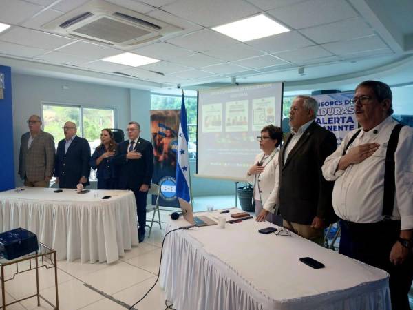 La propuesta fue elaborada técnicamente por la abogada Ruth Lafosse y su equipo.