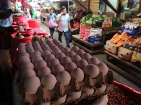 El presidente de Artículo 19 también cuestionó la capacidad de las autoridades para vigilar los precios y detectar posibles abusos contra los consumidores.