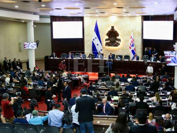 La aprobación de estos dos contratos de energía fue respaldado por Libre.