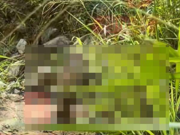 Los restos humanos fueron hallados por un hombre que transitaba la zona en busca de leña en un matorral cercano a la calle que conduce hacia la comunidad de Santa Elena.