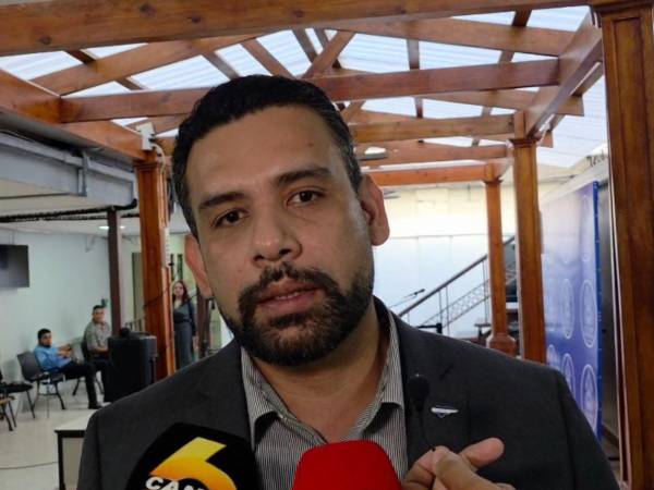 El viceministro de Salud, Ángel Eduardo Midence, presentó ante el Congreso un informe del sistema de salud.