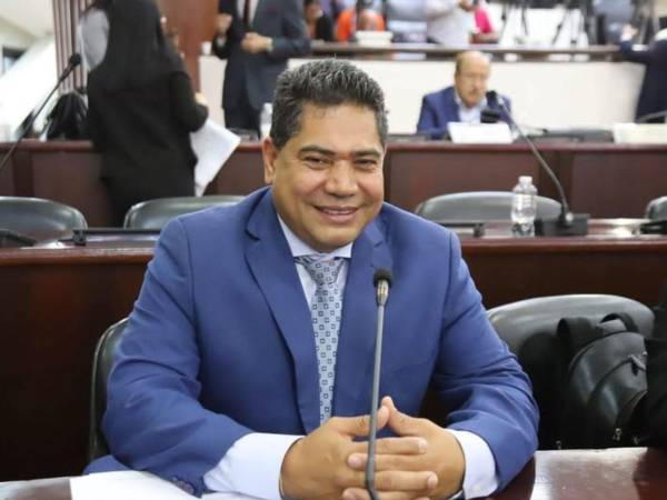 Comisión de Energía revisará reducción de plazo de pago del servicio y plantea focalizar subsidios