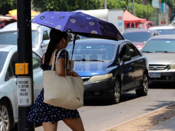 En la capital las temperaturas seguirán siendo alta y persiste la contaminación del aire.