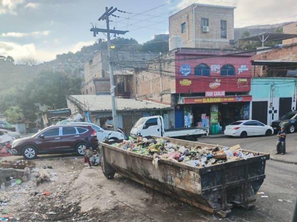 Este martes 31 de marzo, EL HERALDO denunció la acumulación de desechos, carne y huesos en El Chiverito, Comayagüela.