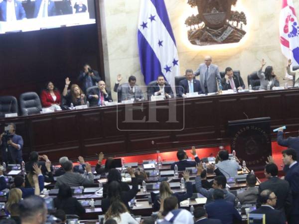 La ENEE pierde 50 millones de lempiras diarios debido a las diferentes fallas en sus sistemas. Para aprobar las reformas se requieren 65 votos en el Congreso Nacional.