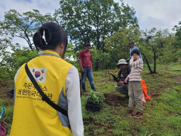 El Refugio de Vida Silvestre Suyapa será restaurado con árboles nativos en una jornada ecológica organizada por Coeas y KOICA Alumni Honduras.