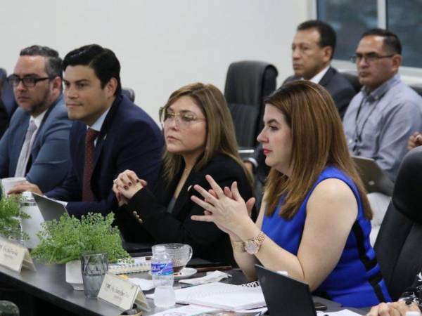 Los consejeros del CNE dieron a conocer sus posturas sobre la resolución del TJE en el caso de la inscripción de Jorge Cálix.