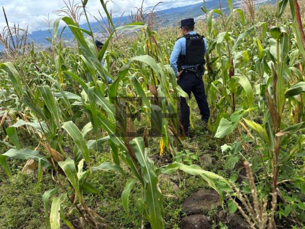 Agentes de la Policía Nacional llegaron al lugar donde fue encontrado el cuerpo del hombre asesinado a pedradas.