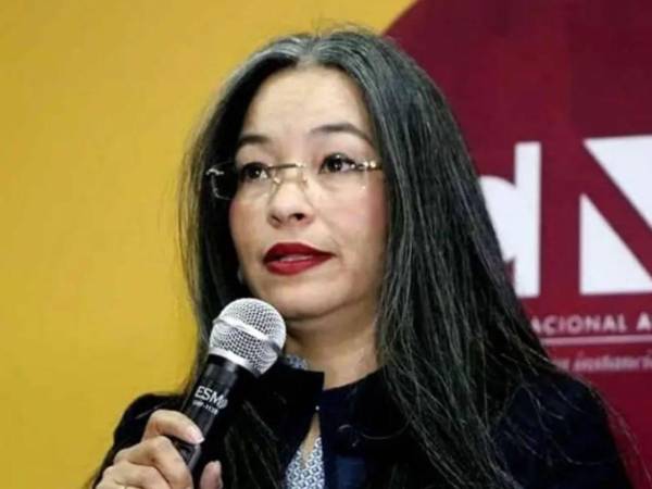 La directora del CNA afirmó que están vigilando el proceso del escrutinio.