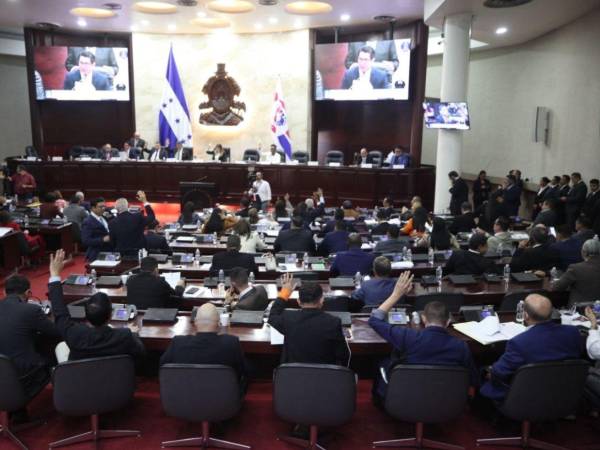 El pleno del Congreso Nacional deberá conocer, discutir y votar las reformas electorales. La sociedad civil y exfuncionarios del CNE dijeron que con eso se busca recuperar la confianza de los hondureños.