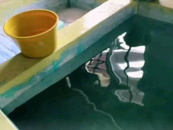 Una mujer de 50 años murió tras caer dentro de una pila en la colonia Kennedy de Tegucigalpa.