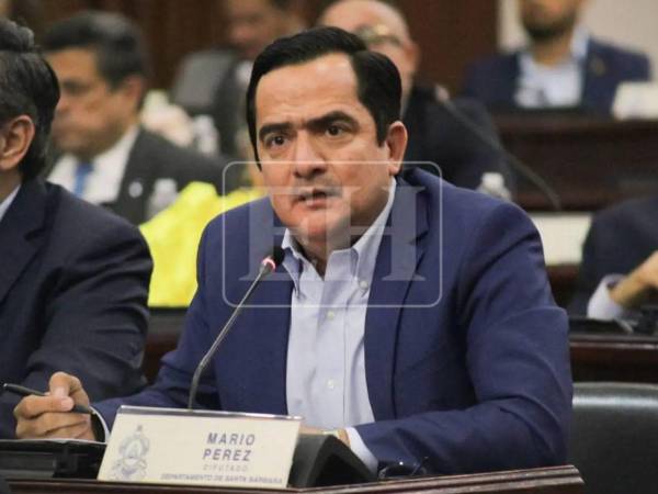 Mario Pérez advirtió que el Ejecutivo podría recurrir a decretos en caso de no alcanzar consensos para reformar el subsector eléctrico.