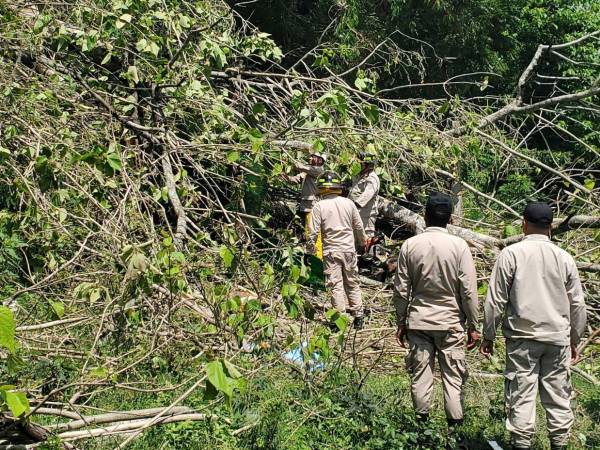 Vivienda destruida en los bordos del río Blanco, donde un árbol cayó y provocó la muerte de un joven que dormía en su interior.
