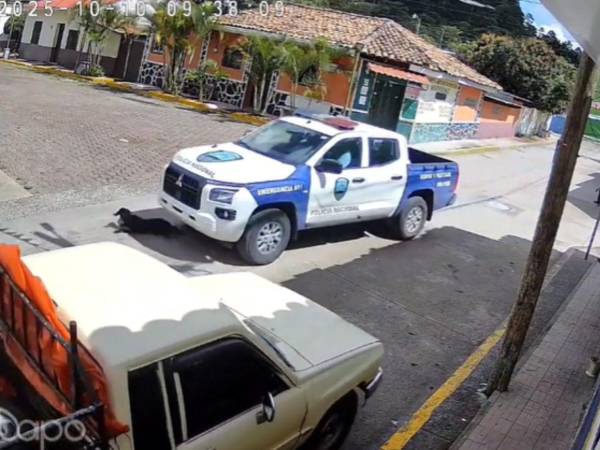 Los agentes de la patrulla PN-1106 atropellaron al perro este viernes a las 9:38 de la mañana.