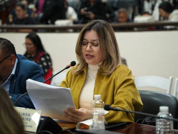 La diputada Linda Donaire hizo la propuesta de reforma al Código Penal.