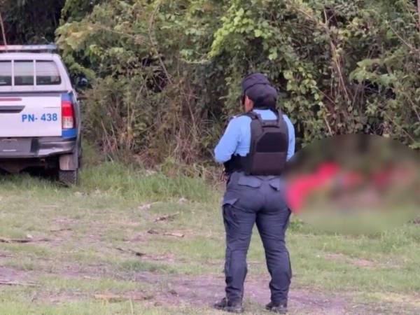 Hasta el momento se desconoce el móvil del crimen y no se han reportado capturas relacionadas con este caso.