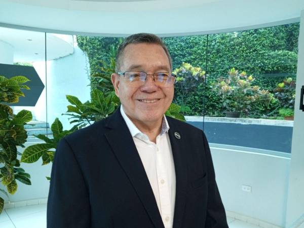 El general en condición de retiro y exjefe de las Fuerzas Armadas de Honduras, Isaías Barahona Herrera, considera que todavía no resulta una estrategia que contenga la intención de delitos.
