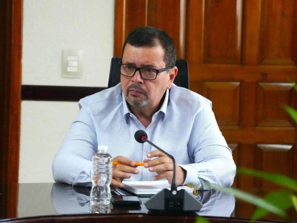 Moisés Molina, secretario de Agricultura y Ganadería (SAG).