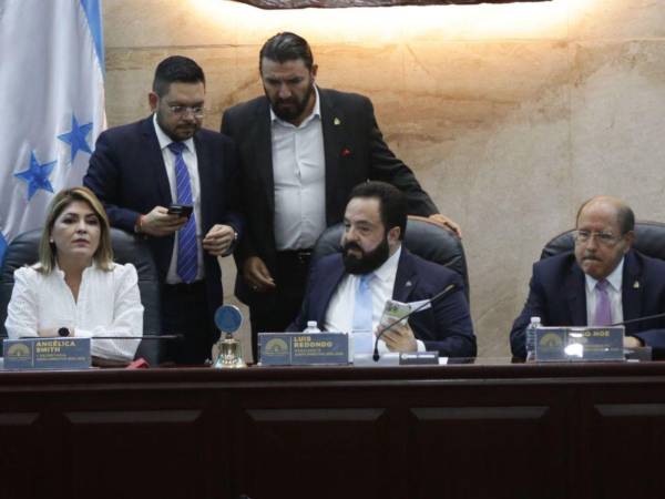 Luis Redondo inició la sesión de este 3 de junio sin el debido quórum.