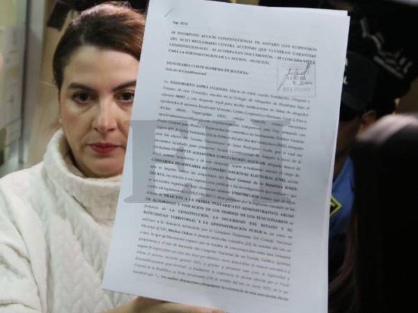 Cossette López, consejera del Consejo Nacional Electoral (CNE), presentó un recurso de amparo ante la Corte Suprema de Justicia (CSJ), con el objetivo de proteger sus derechos fundamentales frente a lo que denuncia como ataques y falta de respuesta institucional, tras la divulgación de los audios presentados por el consejero Marlon Ochoa.