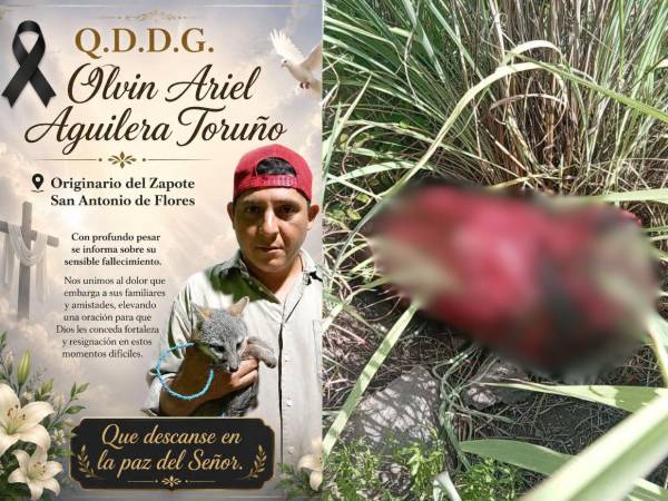 Nunca fuiste mal portado: Así recuerdan a Pancho, hallado encostalado tras varios días desaparecido en Choluteca
