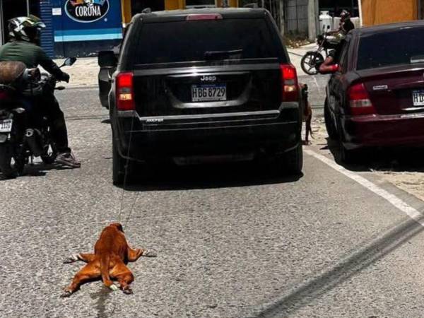 El conductor de una camioneta Jeep con matrícula HBG8729 amarró a un perro con una cadena y lo arrastró por varios metros en las calles de Choloma.