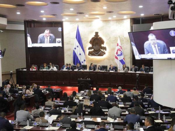 La comisión determinó emitir un dictamen desfavorable tras revisar las opiniones técnicas de las instituciones consultadas.