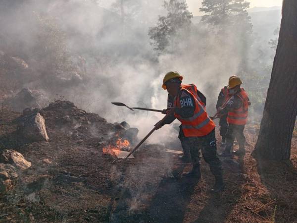 La comuna capitalina identificó 222.8 km expuestos a incendios y anunció patrullajes, capacitaciones y campañas de prevención.