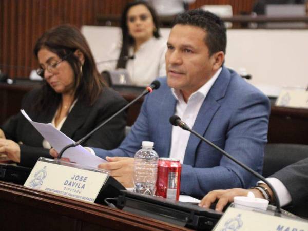 Carlentón Dávila, diputado del partido Pinu durante la sesión en el Congreso Nacional.