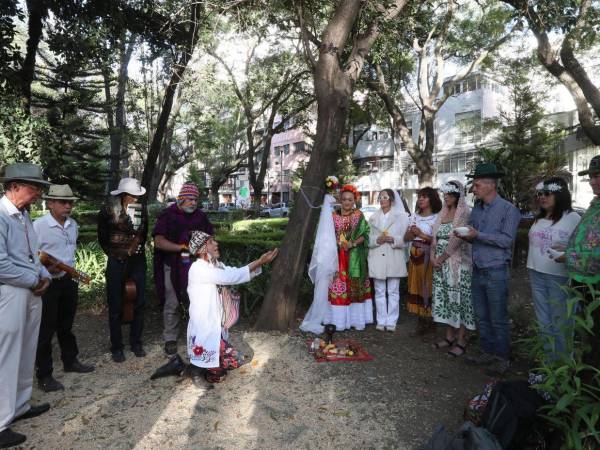Como acto de concienciación hacia la deforestación y el cuidado del medioambiente, al menos 11 personas se casaron con un árbol en la Ciudad de México. Aquí los detalles de este insólito hecho.