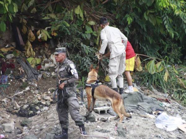 Hasta con perro buscaron el cuerpo del niño Elvis Eliú Bautista cerca de la zona donde fue arrastrado por las lluvias.