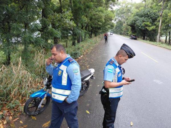 Agentes de la Dirección Nacional de Vialidad y Transporte llegaron hasta la escena.