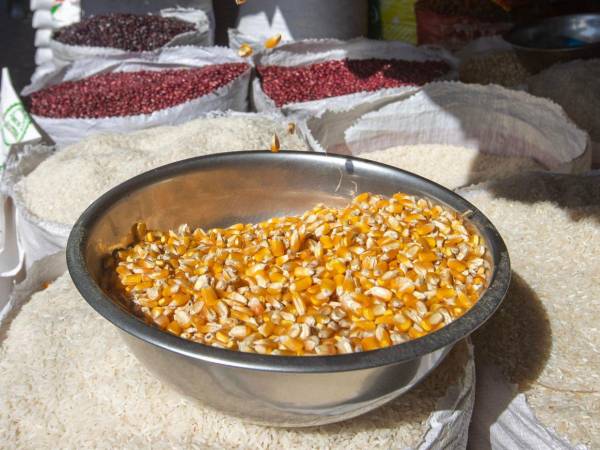 El contingente libre de arancel abarcará hasta 183.000 toneladas métricas de maíz.