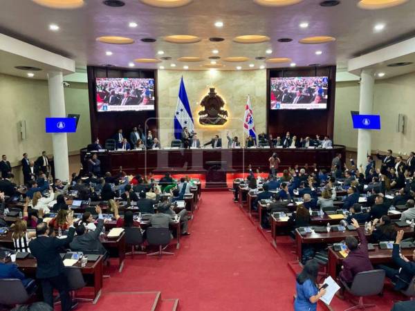 El plazo fue aprobado por la mayoría del pleno del Legislativo.