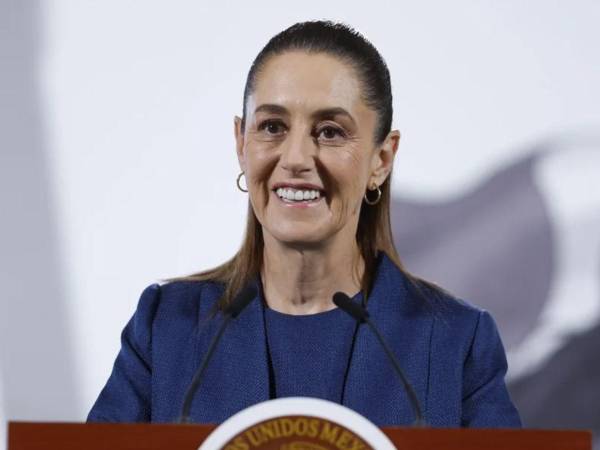 Shienbaum dijo que el sábado ofrecerá conferencia de prensa que tenía prevista para el domingo sobre el sargazo.