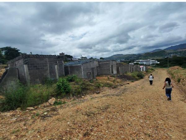 Aunque la AMDC aseguró que entregaría viviendas en diciembre, Villa Solidaridad continúa entre maleza y sin avances visibles en la salida a Olancho.