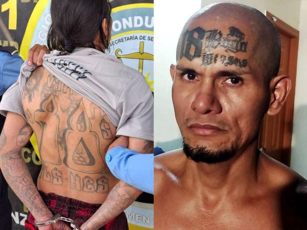 El Consejo Nacional de Defensa y Seguridad (CNDS) declaró como asociaciones terroristas a tres estructuras criminales que operan en Honduras, una medida que busca fortalecer las acciones del Estado contra el crimen organizado.