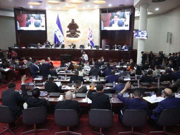 En los próximos días esta iniciativa llegará al pleno del Congreso Nacional.
