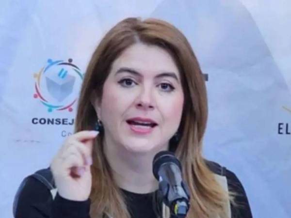 La consejera del CNE denunció que usan la acusación de fraude como excusa para salir a las calles.