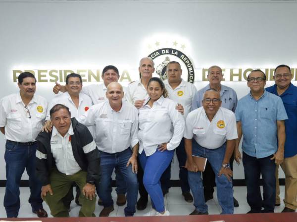 El gobierno trabajará para combatir la ilegalidad en el rubro y que continúa abierta la discusión sobre los aspectos relacionados con el sistema de conversión a LPG.