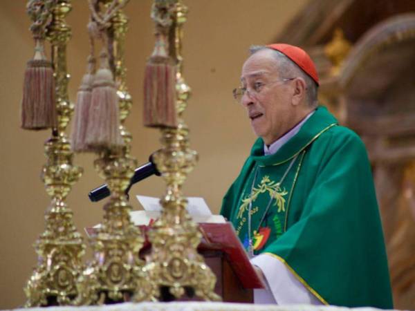 El cardenal mostró estar a favor de la reforma en materia de energía hecha por el Congreso.