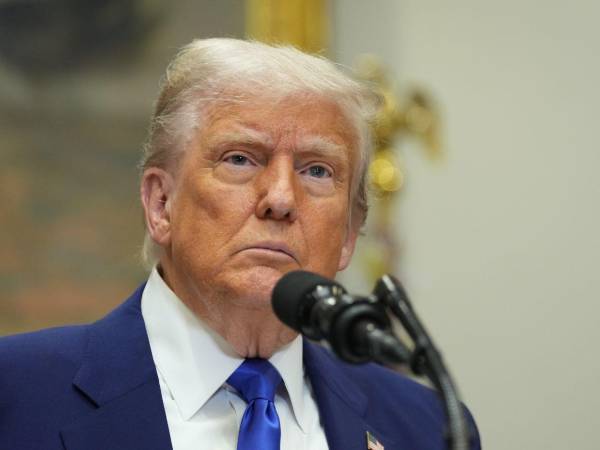 Trump exige que se investigue a artistas que como Beyoncé o Springsteen ayudaron a Harris.